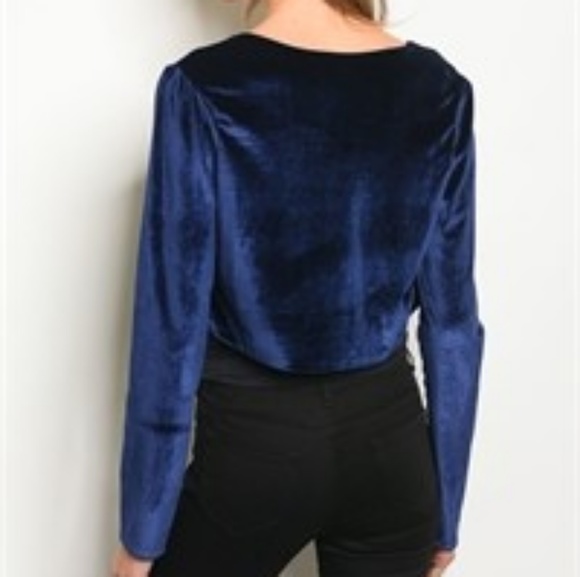 Blue Velvet Blazer - Picture 2 of 5